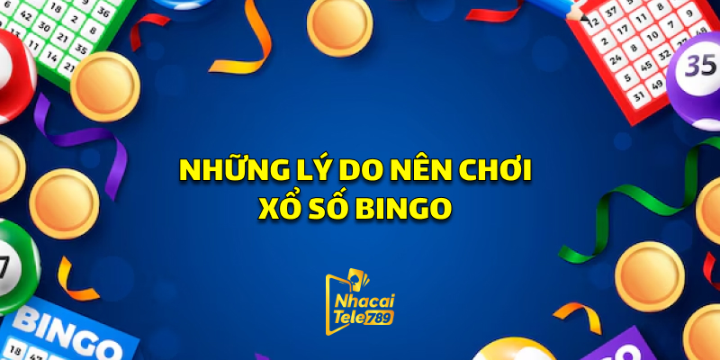 Những Lý Do Nên Chơi Xổ Số Bingo