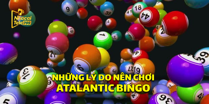 Những Lý Do Nên Chơi Atalantic Bingo